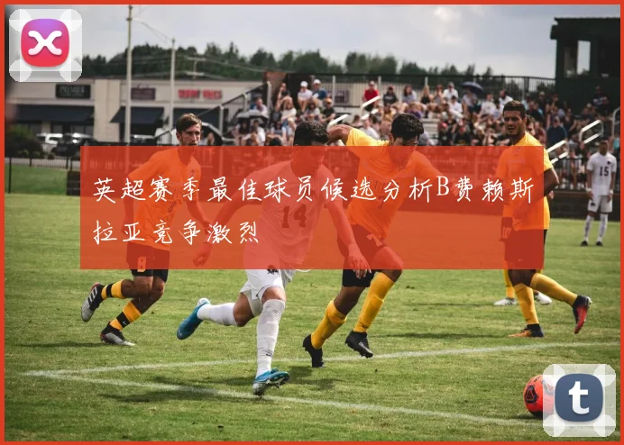 英超赛季最佳球员候选分析B费赖斯拉亚竞争激烈