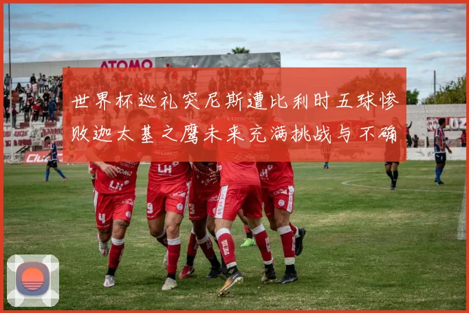 世界杯巡礼突尼斯遭比利时五球惨败迦太基之鹰未来充满挑战与不确定性